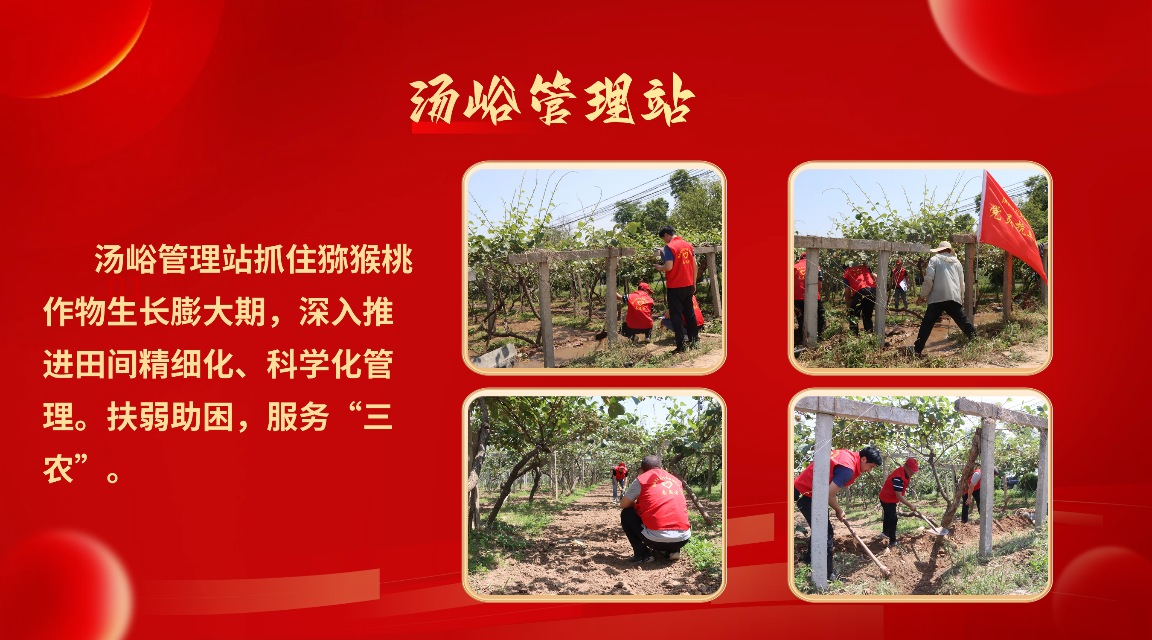 稿定设计-5_[1152x640].png