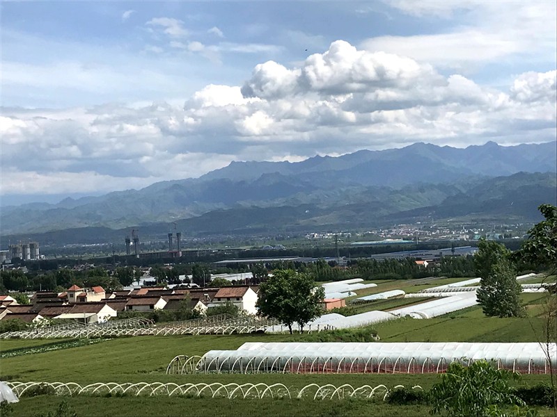 3、一渠碧水润关中.jpg