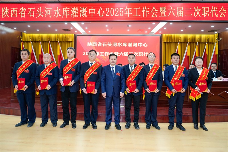 _TYF7805.jpg