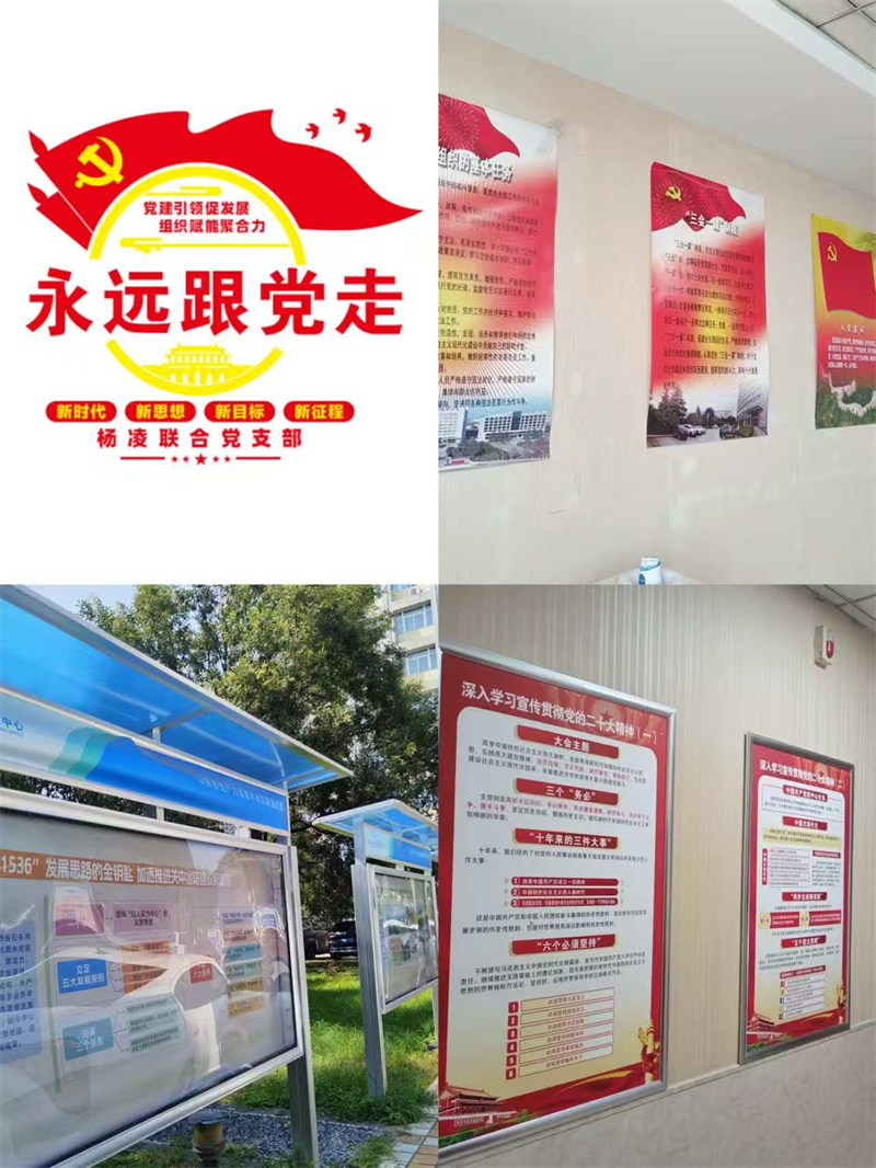 1755043351400367.png 图片1.png